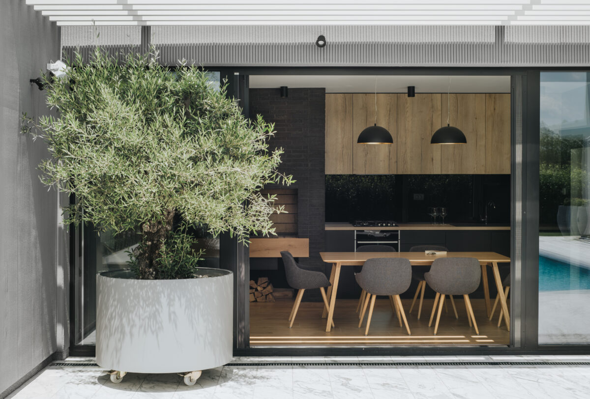 A large potted plant in the middle of the patio.